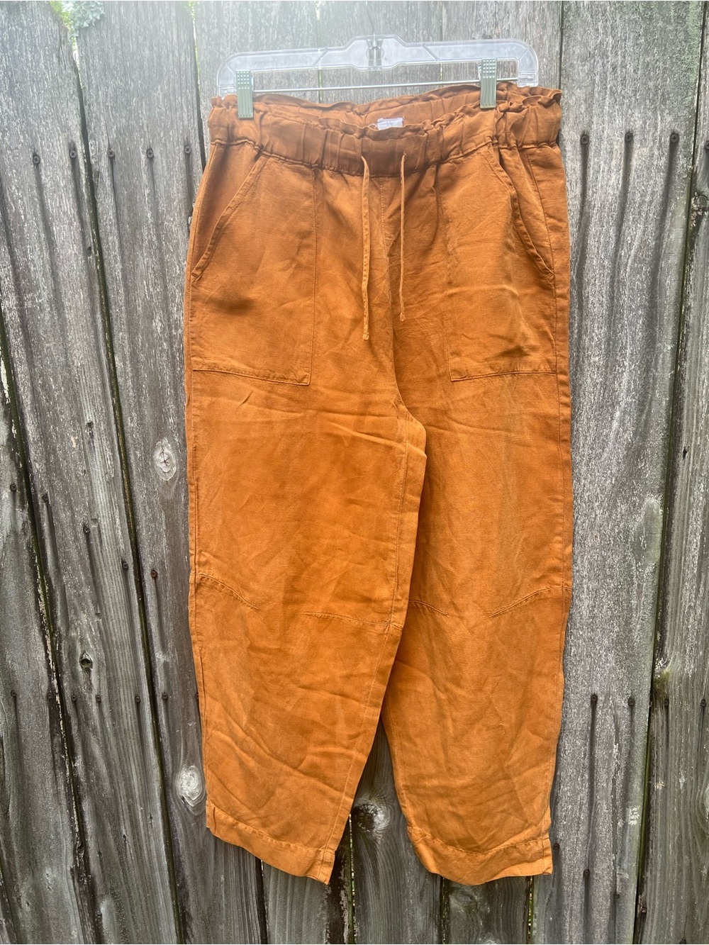 Joie Relaxed Drawstring Pants in Burnt Orange